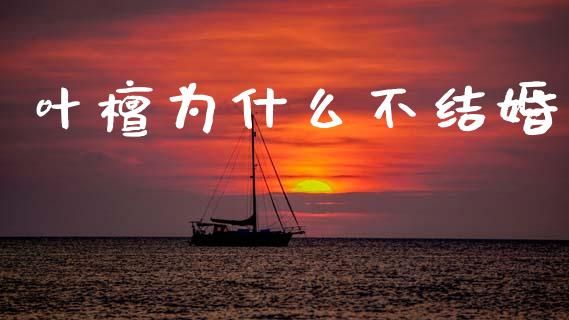 叶檀为什么不结婚_https://wap.lxcailiao.com_财务管理_第1张