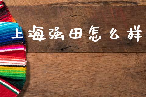 上海强田怎么样_https://wap.lxcailiao.com_财务管理_第1张