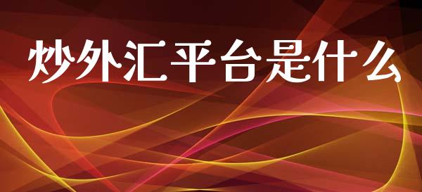 炒外汇平台是什么_https://wap.lxcailiao.com_金融监管_第1张