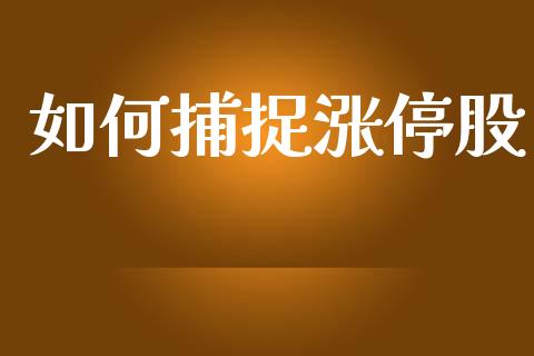 如何捕捉涨停股_https://wap.lxcailiao.com_财务管理_第1张