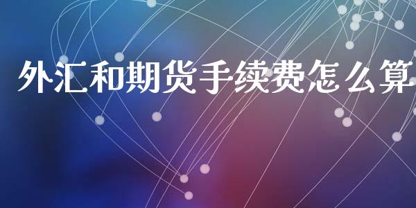 外汇和期货手续费怎么算_https://wap.lxcailiao.com_财务管理_第1张