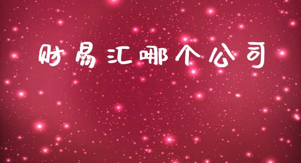 财易汇哪个公司_https://wap.lxcailiao.com_金融监管_第1张