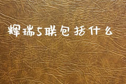辉瑞5联包括什么_https://wap.lxcailiao.com_财务管理_第1张