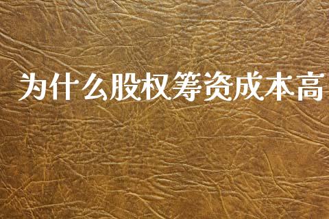 为什么股权筹资成本高_https://wap.lxcailiao.com_融资担保_第1张