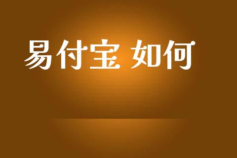 易付宝 如何_https://wap.lxcailiao.com_金融监管_第1张