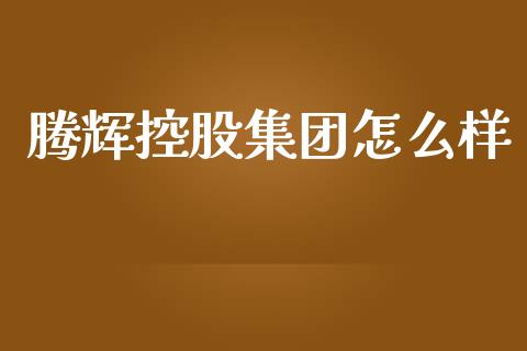 腾辉控股集团怎么样_https://wap.lxcailiao.com_金融监管_第1张