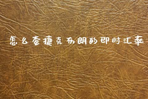 怎么查捷克布朗的即时汇率_https://wap.lxcailiao.com_财务管理_第1张