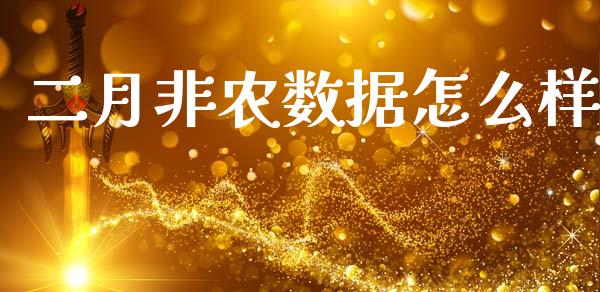 二月非农数据怎么样_https://wap.lxcailiao.com_股权投资_第1张