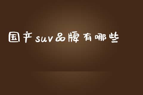国产suv品牌有哪些_https://wap.lxcailiao.com_股权投资_第1张