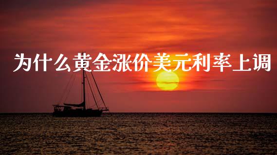 为什么黄金涨价美元利率上调_https://wap.lxcailiao.com_金融监管_第1张