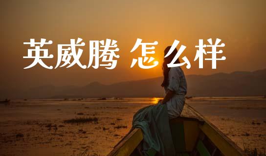 英威腾 怎么样_https://wap.lxcailiao.com_融资担保_第1张