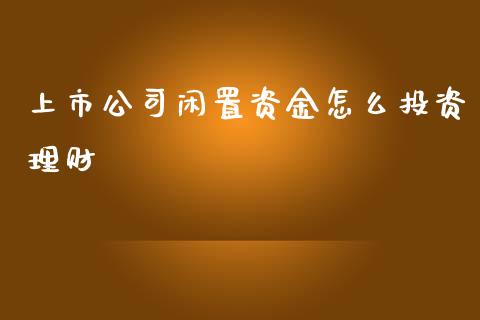 上市公司闲置资金怎么投资理财_https://wap.lxcailiao.com_融资担保_第1张