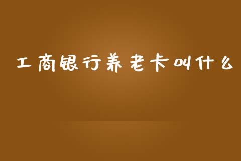 工商银行养老卡叫什么_https://wap.lxcailiao.com_金融监管_第1张