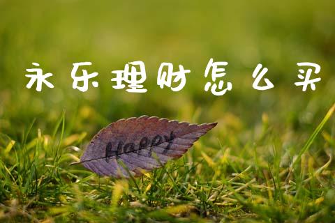 永乐理财怎么买_https://wap.lxcailiao.com_股权投资_第1张
