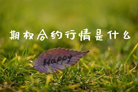 期权合约行情是什么_https://wap.lxcailiao.com_融资担保_第1张