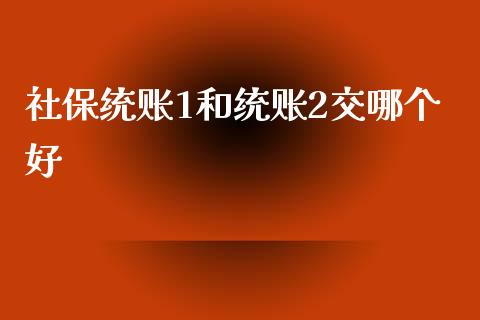 社保统账1和统账2交哪个好_https://wap.lxcailiao.com_股权投资_第1张
