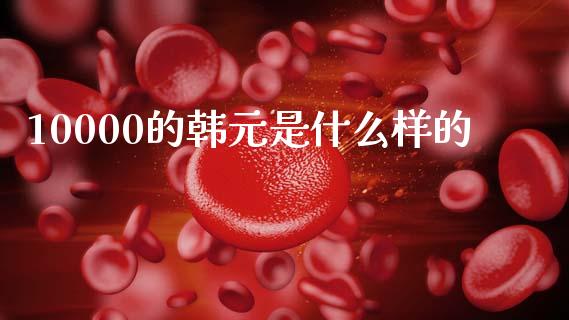 10000的韩元是什么样的_https://wap.lxcailiao.com_财务管理_第1张