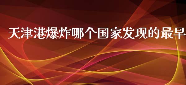 天津港爆炸哪个国家发现的最早_https://wap.lxcailiao.com_融资担保_第1张