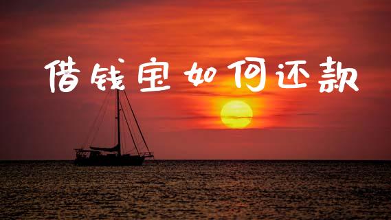 借钱宝如何还款_https://wap.lxcailiao.com_融资担保_第1张