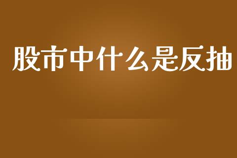 股市中什么是反抽_https://wap.lxcailiao.com_金融监管_第1张