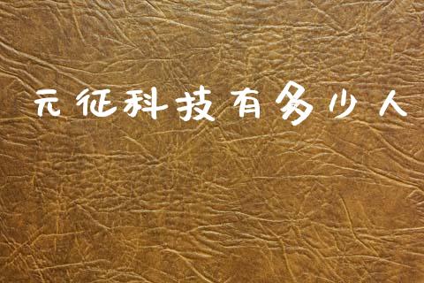 元征科技有多少人_https://wap.lxcailiao.com_财务管理_第1张