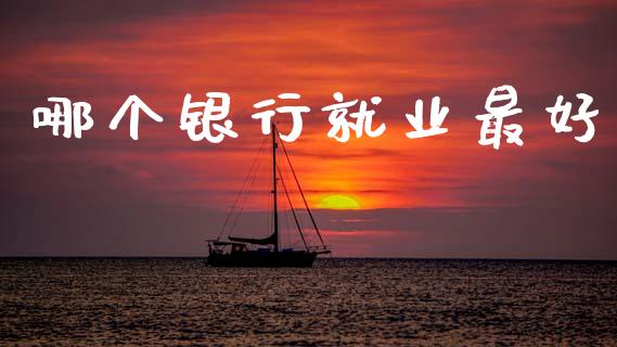 哪个银行就业最好_https://wap.lxcailiao.com_财务管理_第1张