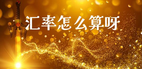 汇率怎么算呀_https://wap.lxcailiao.com_股权投资_第1张