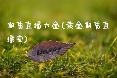 期货直播大金(黄金期货直播室)_https://wap.lxcailiao.com_金融监管_第1张