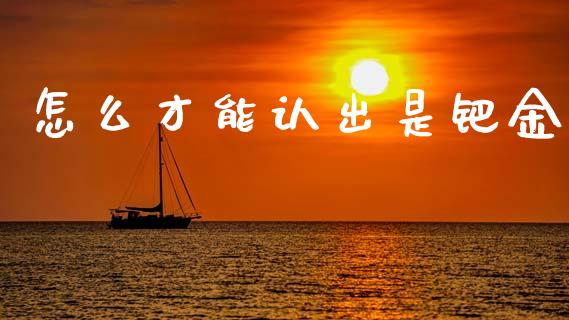 怎么才能认出是钯金_https://wap.lxcailiao.com_财务管理_第1张