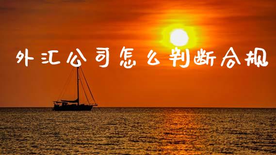 外汇公司怎么判断合规_https://wap.lxcailiao.com_股权投资_第1张