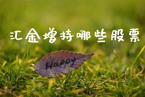 汇金增持哪些股票_https://wap.lxcailiao.com_财务管理_第1张