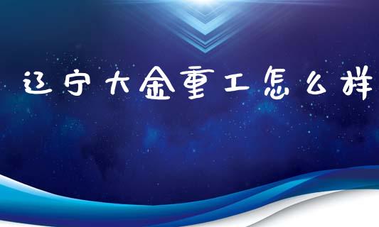 辽宁大金重工怎么样_https://wap.lxcailiao.com_财务管理_第1张