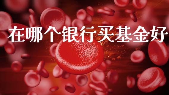 在哪个银行买基金好_https://wap.lxcailiao.com_财务管理_第1张