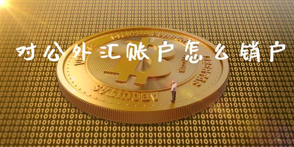 对公外汇账户怎么销户_https://wap.lxcailiao.com_股权投资_第1张