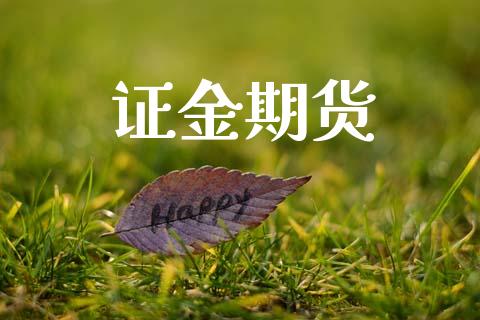 证金期货_https://wap.lxcailiao.com_金融监管_第1张