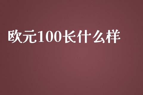 欧元100长什么样_https://wap.lxcailiao.com_融资担保_第1张