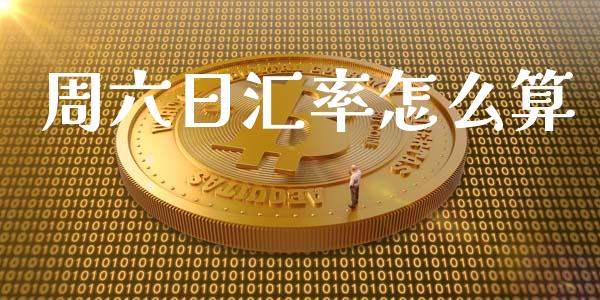 周六日汇率怎么算_https://wap.lxcailiao.com_财务管理_第1张
