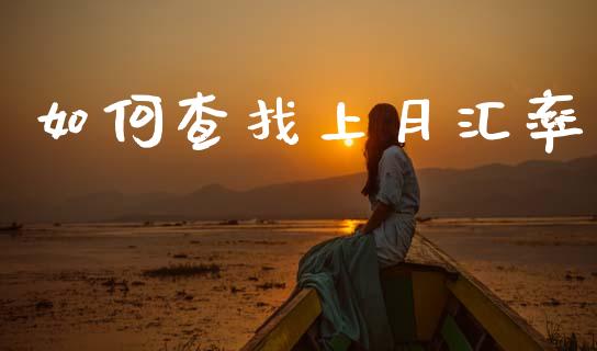 如何查找上月汇率_https://wap.lxcailiao.com_金融监管_第1张