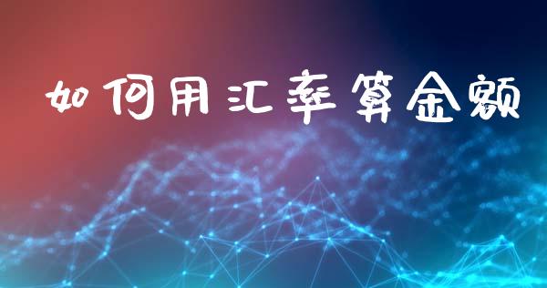 如何用汇率算金额_https://wap.lxcailiao.com_财务管理_第1张