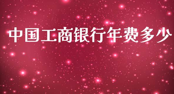 中国工商银行年费多少_https://wap.lxcailiao.com_金融监管_第1张
