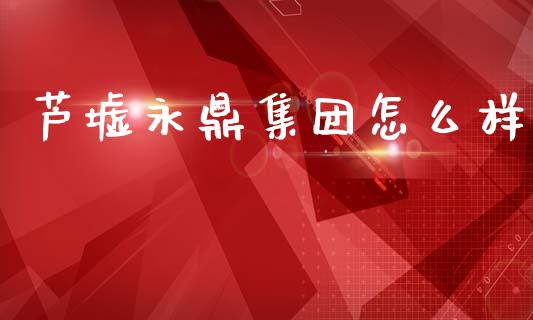 芦墟永鼎集团怎么样_https://wap.lxcailiao.com_股权投资_第1张