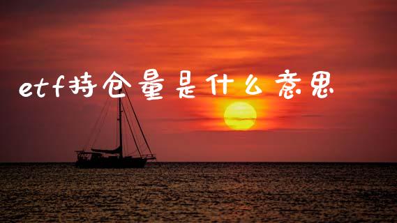 etf持仓量是什么意思_https://wap.lxcailiao.com_股权投资_第1张