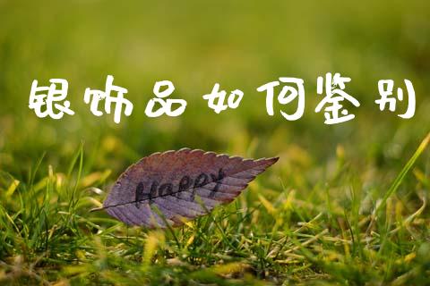 银饰品如何鉴别_https://wap.lxcailiao.com_融资担保_第1张