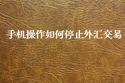 手机操作如何停止外汇交易_https://wap.lxcailiao.com_融资担保_第1张