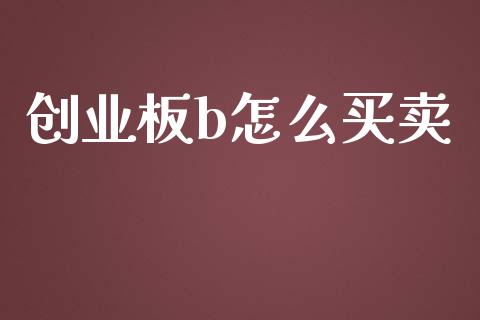 创业板b怎么买卖_https://wap.lxcailiao.com_金融监管_第1张