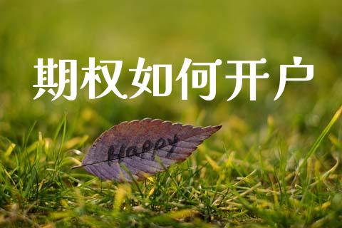 期权如何开户_https://wap.lxcailiao.com_股权投资_第1张
