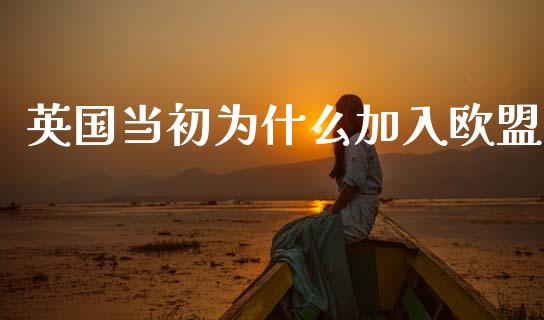 英国当初为什么加入欧盟_https://wap.lxcailiao.com_融资担保_第1张