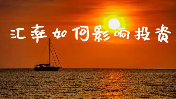 汇率如何影响投资_https://wap.lxcailiao.com_融资担保_第1张
