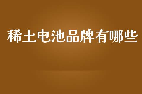稀土电池品牌有哪些_https://wap.lxcailiao.com_融资担保_第1张