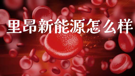 里昂新能源怎么样_https://wap.lxcailiao.com_股权投资_第1张